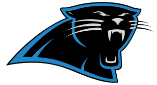Carolina Panthers Team Season Stats by Week